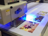 In UV là gì? Tại sao được ưa chuộng hiện nay?