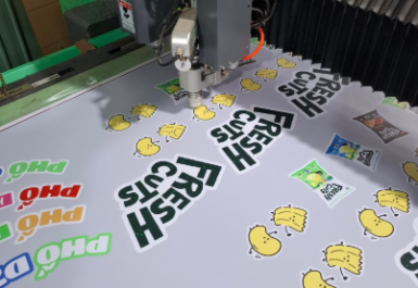 In & cắt decal trọn gói – Giải pháp tiết kiệm cho doanh nghiệp