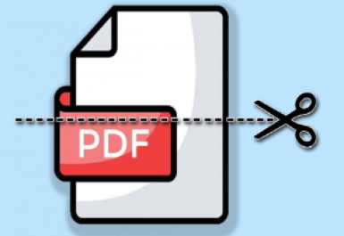 Cắt decal theo file AI/PDF – lưu ý về file thiết kế